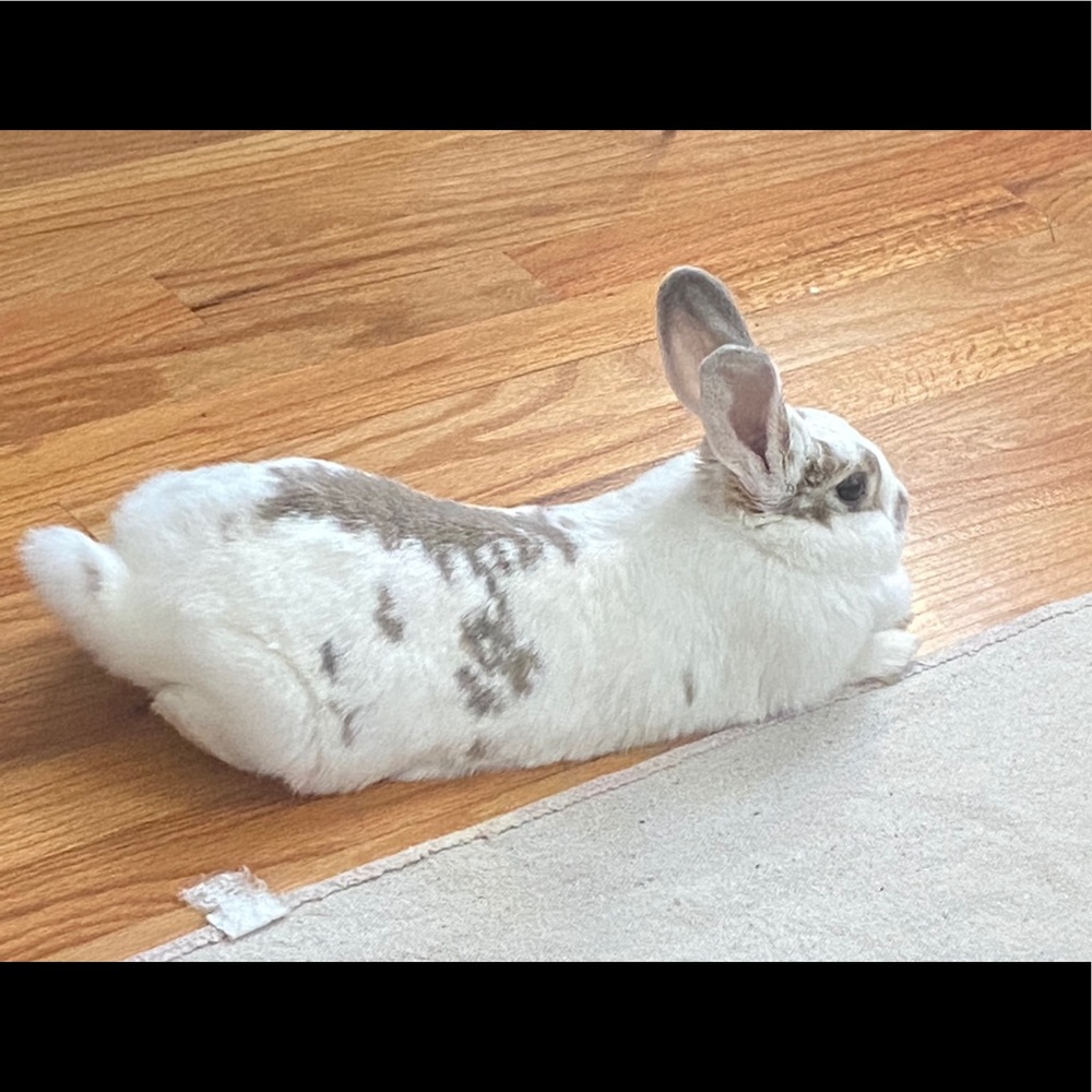 Meet your Posher, TGIF